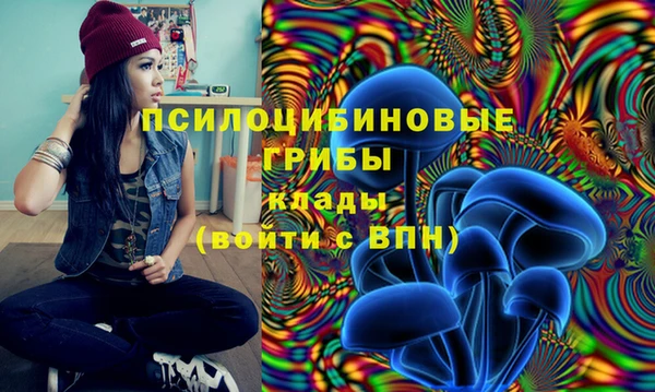 винт Горняк