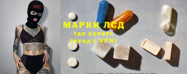 сатива Гусев