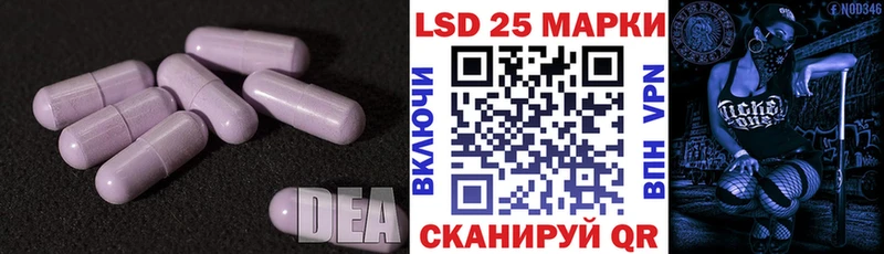 как найти   Зеленоградск  ЛСД экстази ecstasy 