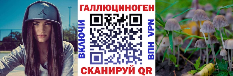 Псилоцибиновые грибы мухоморы Зеленоградск