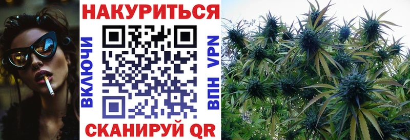 Конопля планчик  blacksprut tor  Зеленоградск 